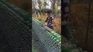 What An Interesting Idea Building Beer Bottle Walls satisfying shot [upl. by Aremmat]