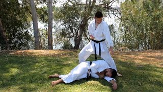 Bunkai Heian Nidan  Pinan Shodan [upl. by Arty]