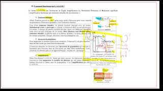 Terminale S  Introduction à la physique quantique [upl. by Ianteen]