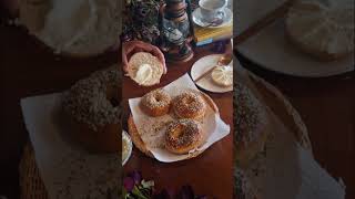 Easy Bagels with Cream Cheese and Blueberry compote breakfast viralshorts simple food [upl. by Selim]