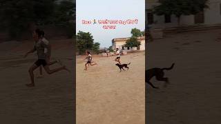 कुत्ता ने 100m race laga li  dog race [upl. by Alitta89]