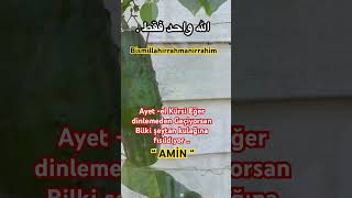 🔥ALLAH NAZARDAN KAZADAN BELADAN KORUSUN amin ayetelkürsi short shortvideo keşfet allah [upl. by Esinal]