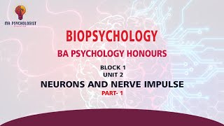 BPCC102 Biopsychology  UNIT  2 Neurons and Nerve Impulse  Part1 IGNOU MALAYALAM [upl. by Bara]