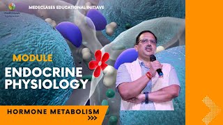 MedEClasses Module Hormone Metabolism [upl. by Steel937]