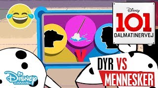 Dalmatinervej 101  Dyr vs Mennesker Rengøring 🐱 Disney Channel Danmark [upl. by Omidyar]