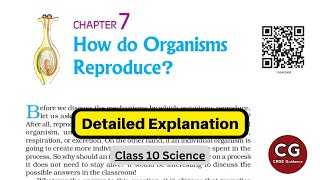 Class 10 Biology How Do Organisms Reproduce Detailed One Shot Explanation [upl. by Sihon]