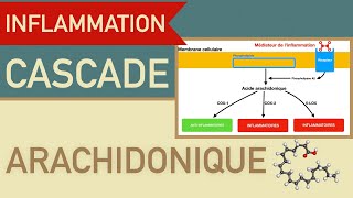 Biochimie métabolique en Arabe béta oxydation SVI s4 [upl. by Lecram269]