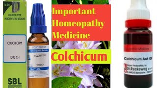 Colchicum Homeopathy MedicineColchicumকলচিকাম হোমিওপ্যাথি ঔষুধ Colchicum Autumnale 30200 Use [upl. by Anaz]