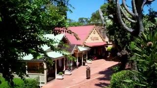 Montville Queensland [upl. by Tsyhtema404]