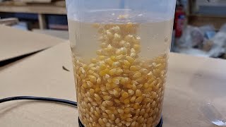 Epoxy Resin vs POPCORN Kernels  You Wont Believe It [upl. by Rammus]