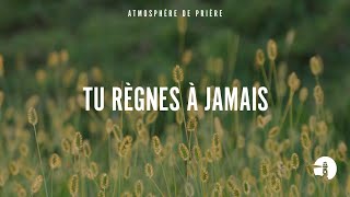 Tu règnes à jamais  Instrumental  Atmosphère de prière  Gordon Zamor [upl. by Esinwahs]