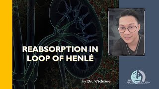 Reabsorption in Loop of Henlé by Dr William [upl. by Lipcombe]