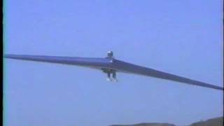 Klingberg Wing MkI Rigid Wing Hang Glider  Monterey CA [upl. by Vierno]