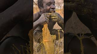 Hadzabe tribe breakfast Meal 😋 So Delicious 🔥hunters africa [upl. by Trstram]