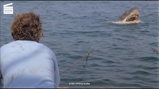 Jaws Behind the Classic Shark Effects  Bonus Feature Spotlight BlurayDVD [upl. by August]