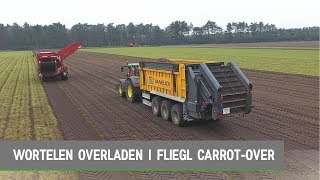 Wortelen REINIGEN en OVERLADEN in EEN  Fliegl CarrotOver [upl. by Seel611]