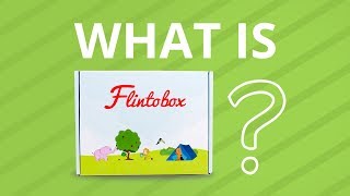 What Is Flintobox [upl. by Arette91]