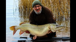 37lb pike Chew Valley fishing [upl. by Hallimaj]