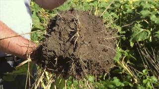 Soil Health and Soil Health Institute Featured on American Farmer TV Series [upl. by Olimpia746]