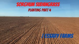 Sorghum Sudangrass Planting Part 4 [upl. by Nnaear]