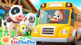 Las Ruedas del Autobús  Versión Animales de Granja 2  LiaChaCha en Español  Canciones Infantiles [upl. by Chill148]