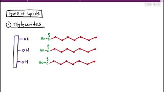 215 Lipids [upl. by Nerhtak]