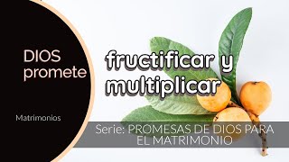 Dios promete fructificar y multiplicar [upl. by Flaherty648]