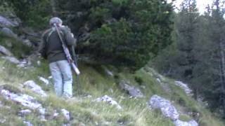 approche sur brocard halpes deer hunting [upl. by Heidy]