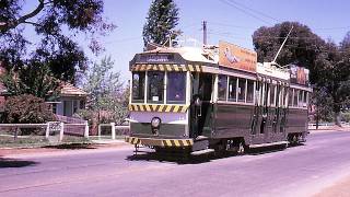 Bendigo Tramways Heritage Tram Collection [upl. by Enahc]