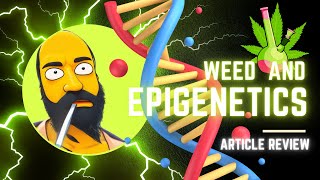 Is Cannabis Use Linked To Epigenetics [upl. by Darrelle]