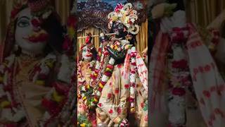 Todays Beautiful Darshan🪞🕊️💗Mekhela Chadarsewa Hare Krishna love❤️ [upl. by Aseel]