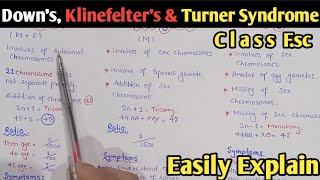 Non Disjunction  Downs Syndrome Klinefelters Syndrome And Turners Syndrome  Class 12 Biology [upl. by Idona]