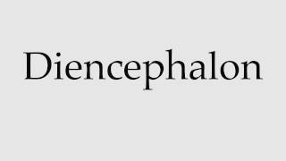 How to Pronounce Diencephalon [upl. by Wieche]