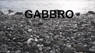 Geology in a Minute GABBRO  BSCE 2B [upl. by Meehyr]