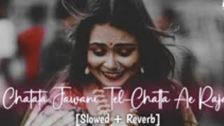 Machhali ke jaisi tadape javani  slowed X Reverb song bhojpuri lofi lofi bhojpuri lofisong [upl. by Pfosi755]