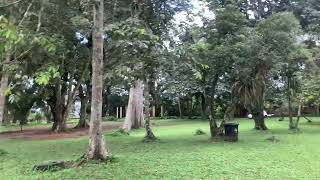 Full Tour of The BEAUTIFUL ABURI BOTANICAL GARDENS in Eastern Region Ghana 2024 [upl. by Tnerb]