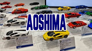 Aoshima at All Japan Model amp Hobby Show 2024 [upl. by Joseph608]