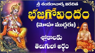 Bhajagovindam telugu lyrics and meaning  Bhajagovindam  Moha mudgaram meaning in telugu [upl. by Flaherty]