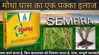 Sempra herbicide Dhanuka Sempra herbicide मोथा घास का एक इलाज सेम्प्रा Halosulfuron Methyl 75 WG [upl. by Roleat]