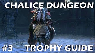 Bloodborne Chalice Dungeon Trophy Walkthrough  Part 3  Defiled Chalice [upl. by Belldas]