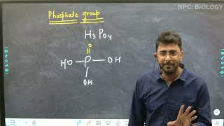 Lec  16  Nucleic Acid  part 2  Nucleotide  Biomolecule class 11 and NEET [upl. by Appel]