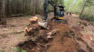 John Deere 35G Large Stump Removal The Complete Process [upl. by Neliak]