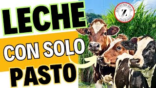 🏆 AUMENTE la PRODUCCIÓN de LECHE con ESTOS PASTOS ⚡ [upl. by Atipul861]