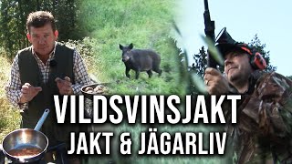 Vildsvinsjakt Jakt amp Jägarliv [upl. by Andria]