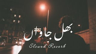 Dhola Beparwah Tenu Bhul Jawa  Zakir Ali Sheikh New Punjabi Saraiki Song 2024  Slowed Reverb [upl. by Barbara]