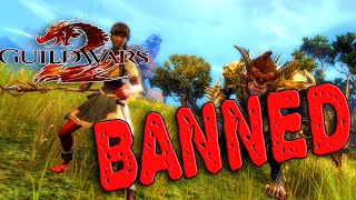 Arenanet Banned me from Guild Wars 2 [upl. by Anikat478]