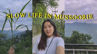 Slow living vlog Tenzinshinemussoorie [upl. by Koziara]