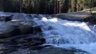 Miller Cascade Dana Fork Tuolumne River near Tuolumne Meadows Lodge Yosemite National Park [upl. by Nnyrb949]