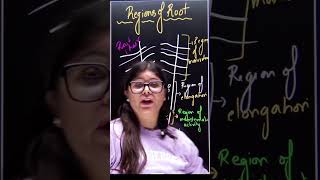 Regions of Root  ncert biology shorts [upl. by Eedyaj]