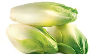 Endive Cichorium endivia is a vegetable very beneficial [upl. by Marinna]